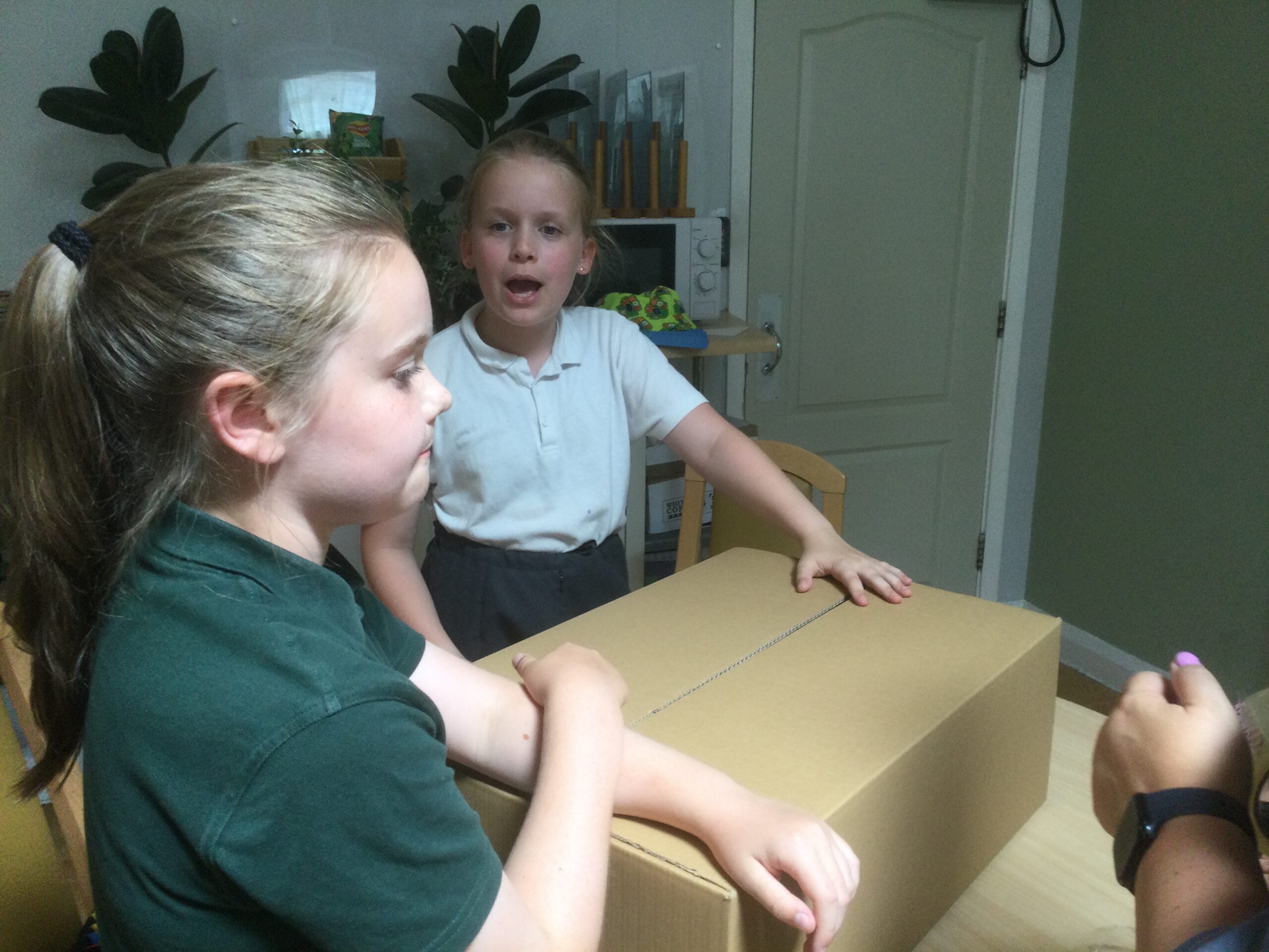 Two girls holding the top of a cardboard box and looking as if they are in debate about what to do next