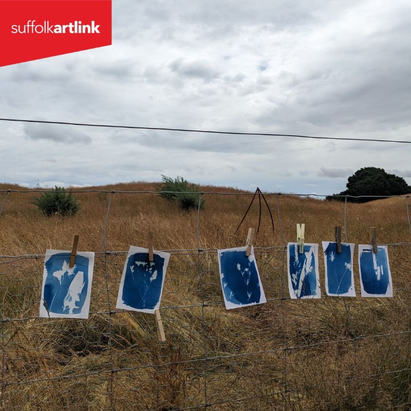 Six blue cyanotypes pinned with clothes pegs to cattle fencing with dry grass and scrub in the background.